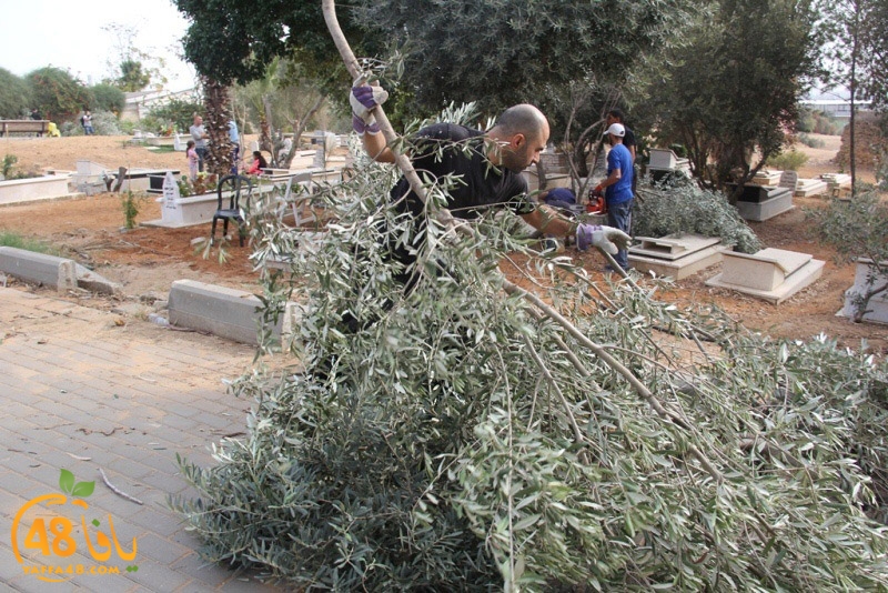 tasoooi3i1412 (60).JPG